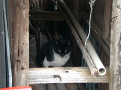 DSC00010