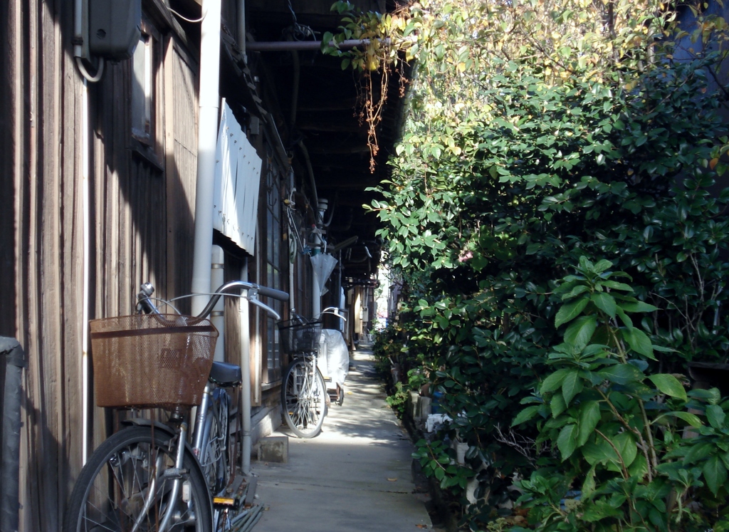 DSC00168