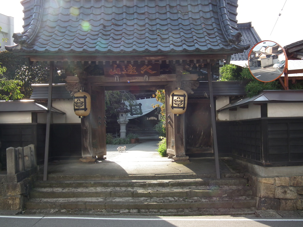 DSCF1624