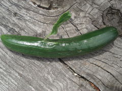 DSC00002