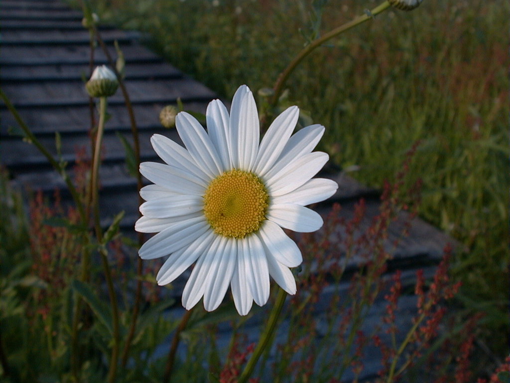DSC00022