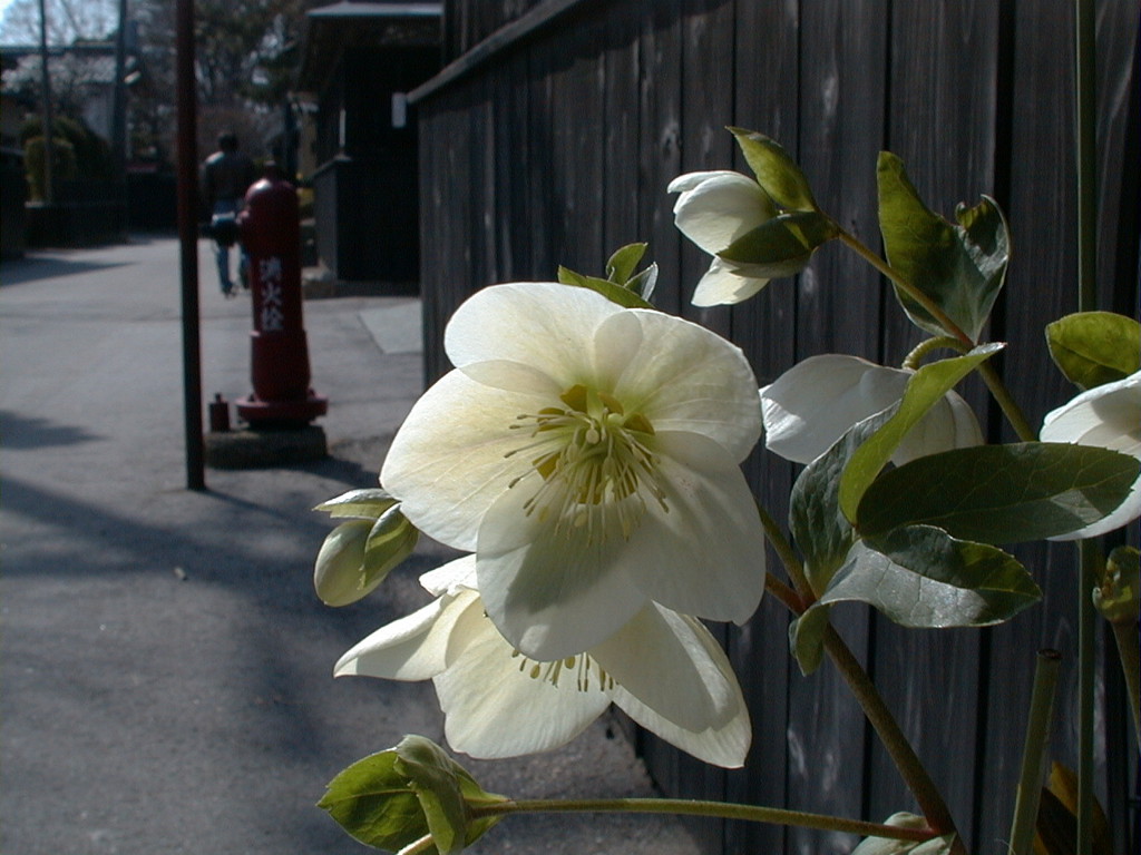 DSC00031