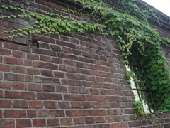 DSC00305