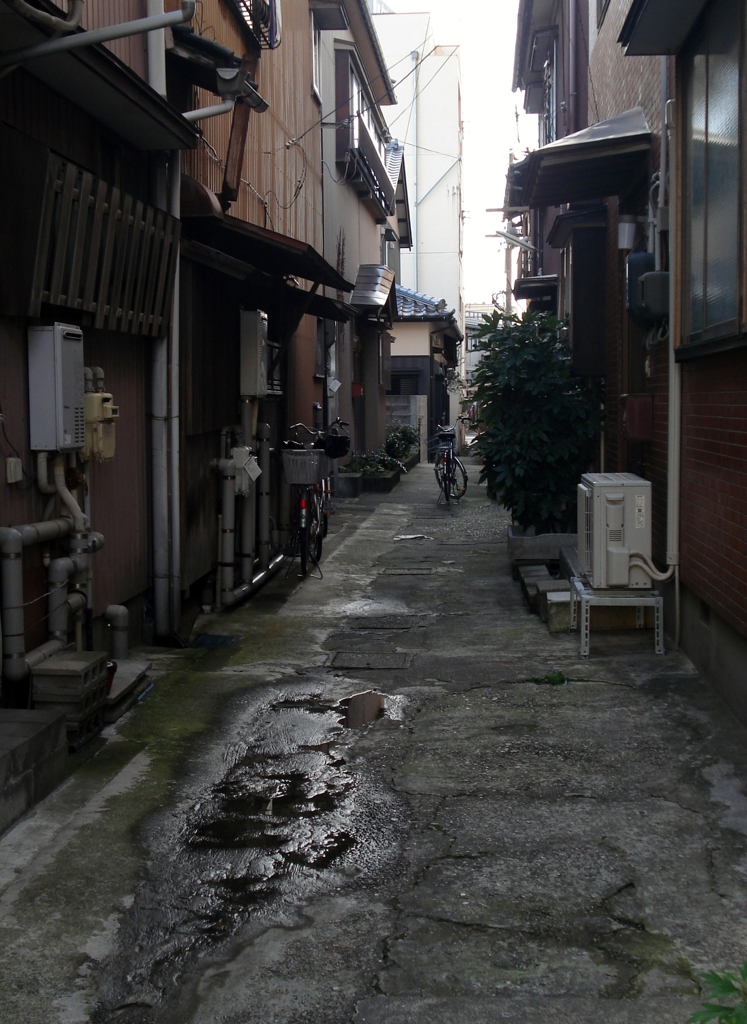 DSC00181