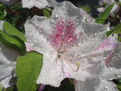 DSC00017