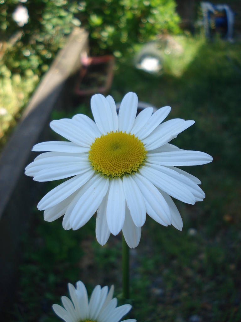 DSC00018