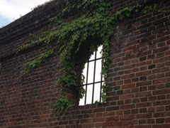 DSC00303