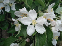 DSC00014