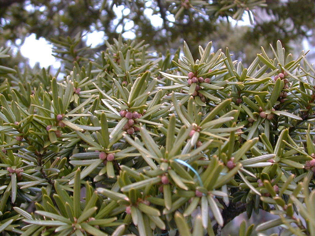 DSC00008