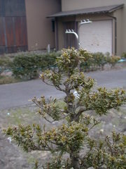 DSC00009