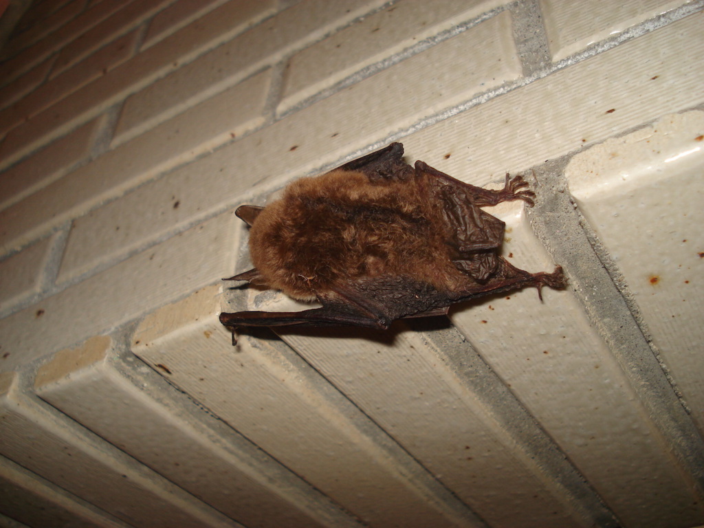 DSC00045