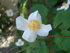 DSC00015