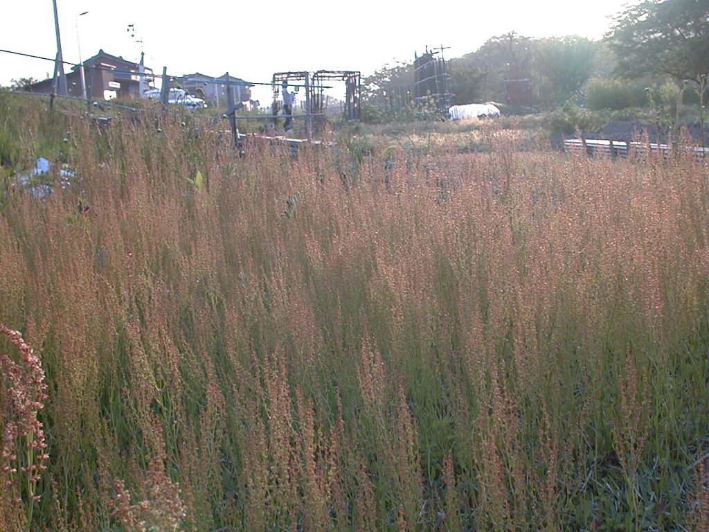 DSC00023