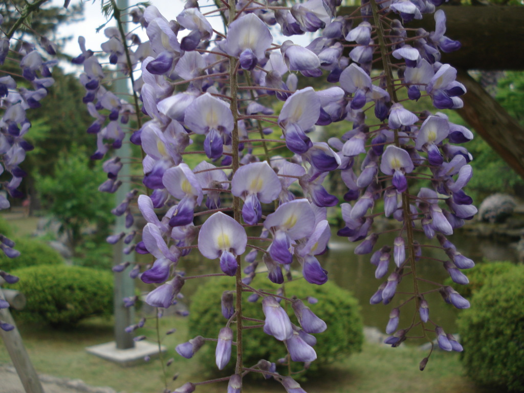 DSC00074
