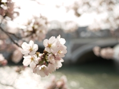 浅野川大橋