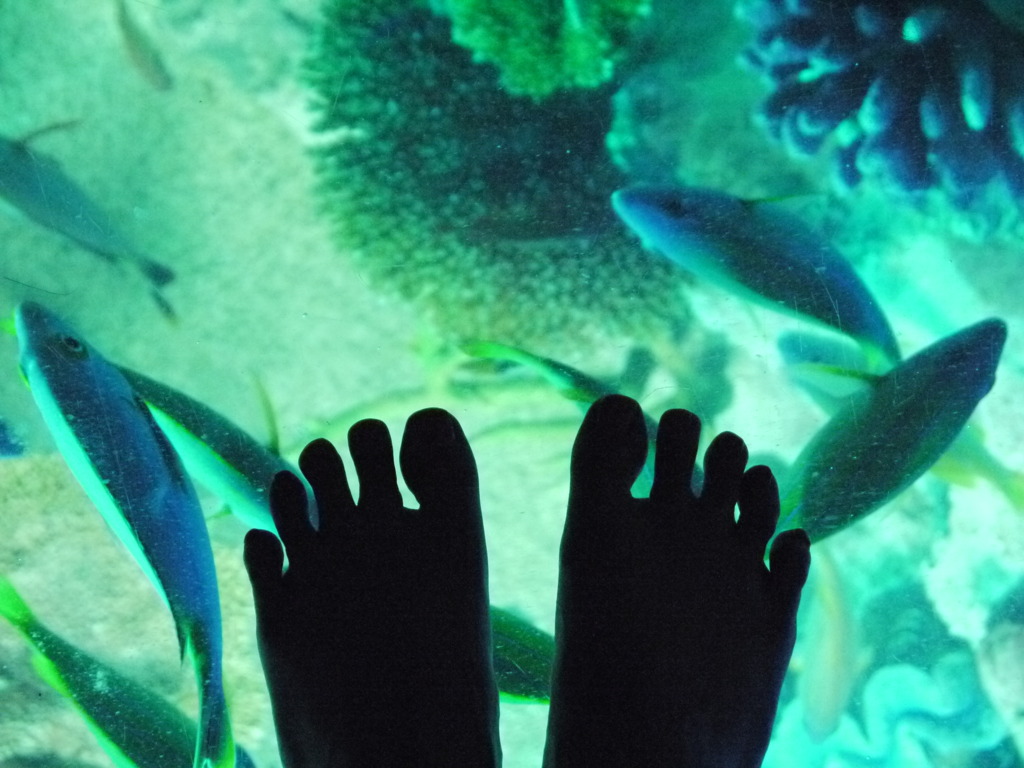 浮遊体験