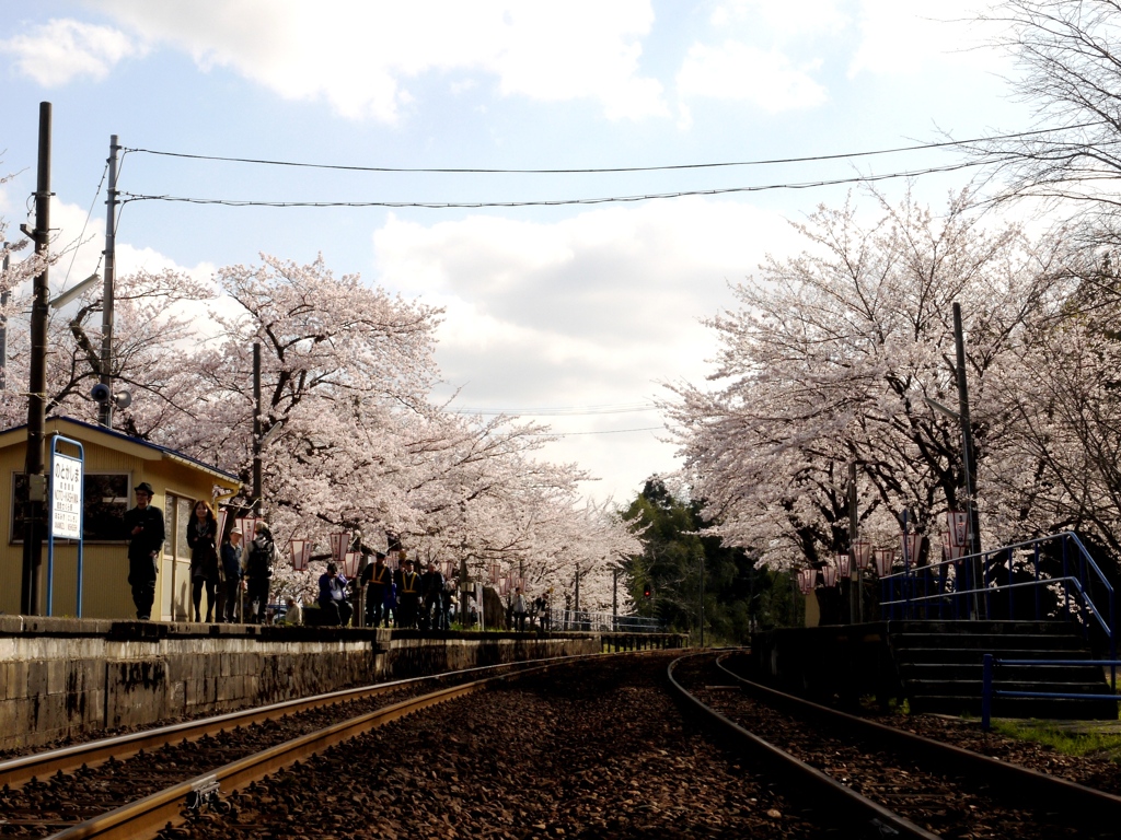 さくら駅