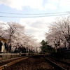 さくら駅