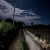 夜の田舎道