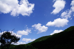 青＊