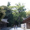 伊勢神宮