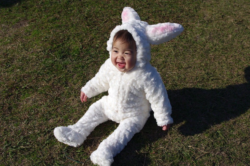 うさちゃん