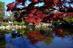 京都・円山公園