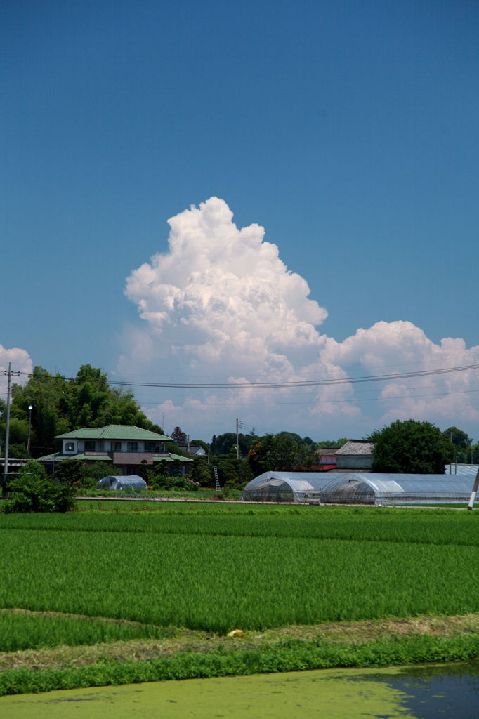 日常＿夏の空　白い雲
