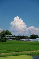 日常＿夏の空　白い雲