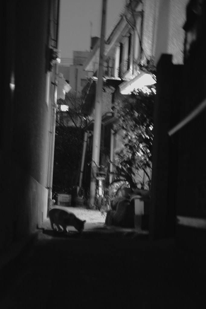 君死にたまうことなかれ