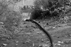 【右が君...左が僕】