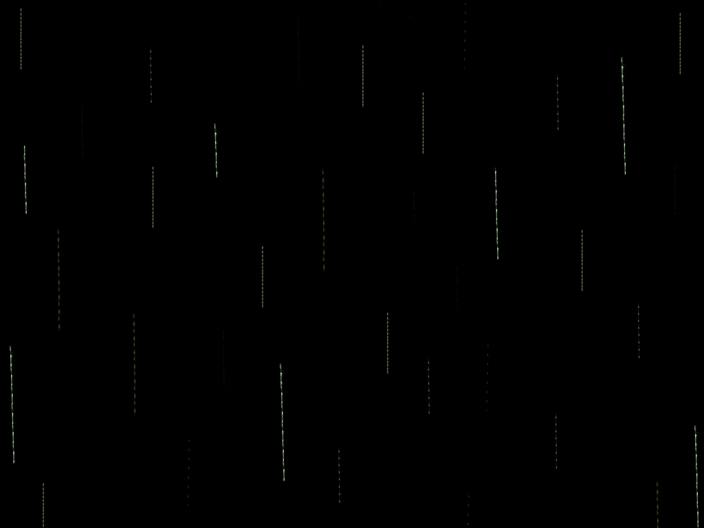 蛍の光雨