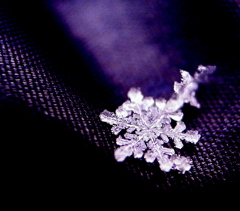 失敗作：雪の華