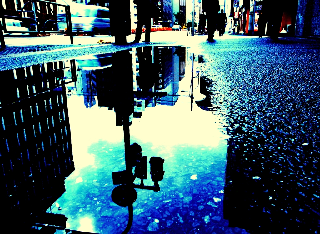 After the rain.