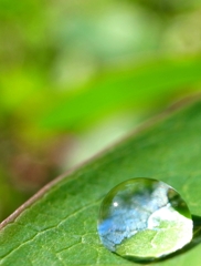 『Rain drop』雨上がりの空