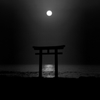 Torii monochrome
