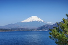 Mt. Fuji