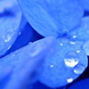 『Rain drops』 六月華