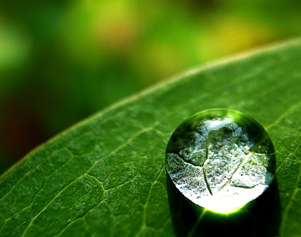 『Rain drop』命の源