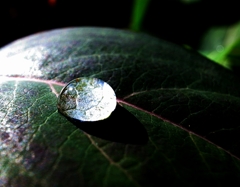 『Rain drop』光の集束