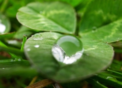 『Rain drops』 雨粒の向こう側