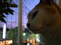 我輩は・・・