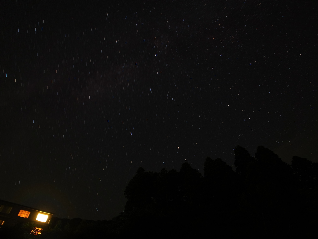 星降る夜に