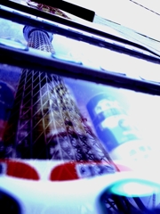 Sky Tree