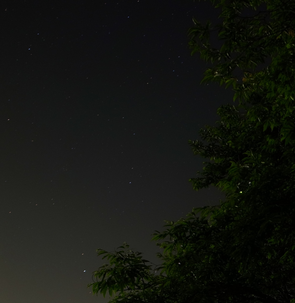 星に紛れた一匹の蛍