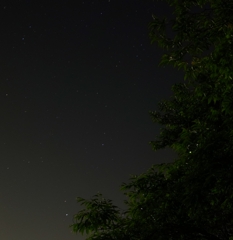 星に紛れた一匹の蛍