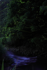 静かな夜に浸りて・・・