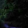 静かな夜に浸りて・・・