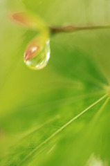 雨上がり
