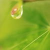 雨上がり